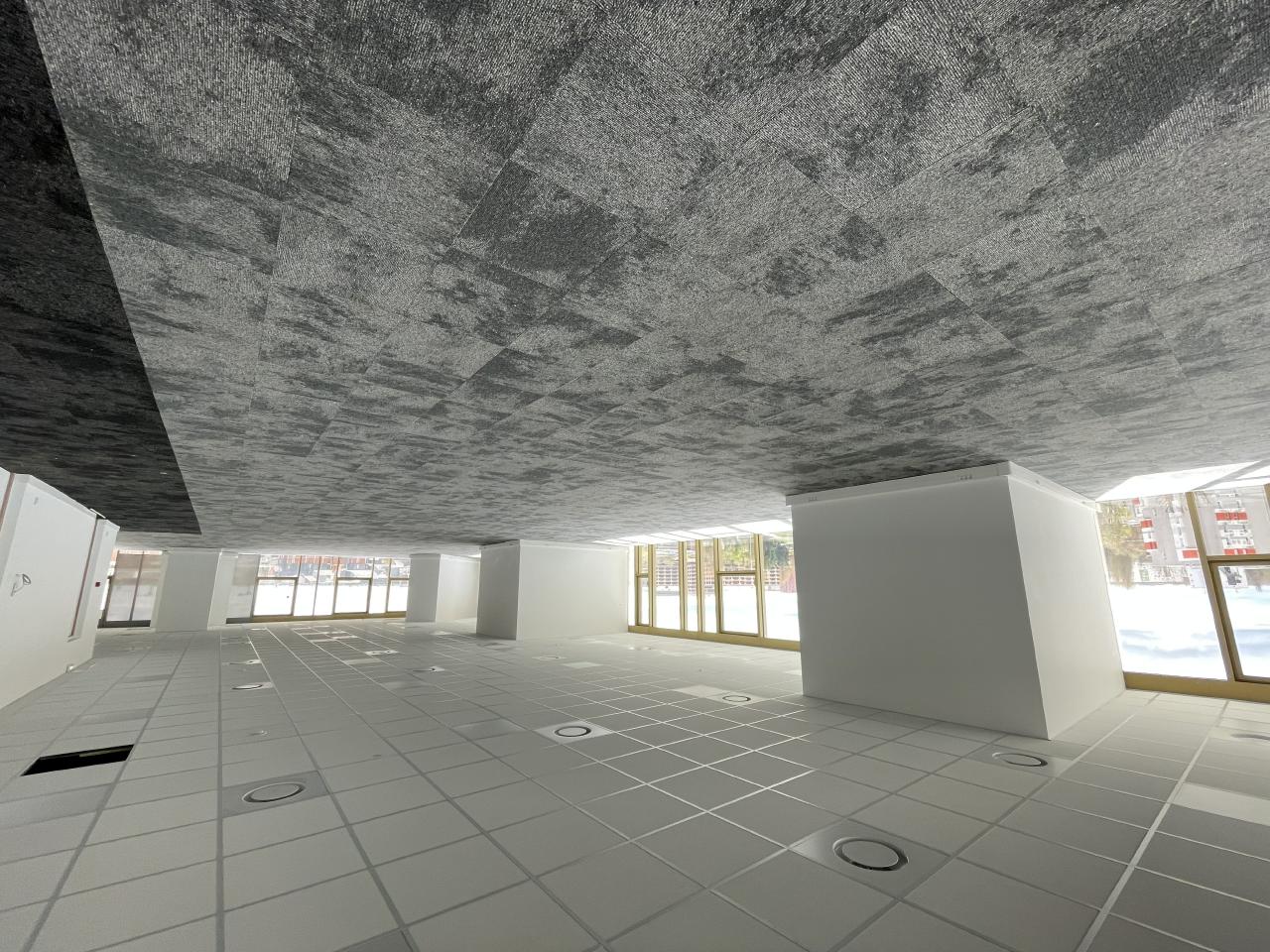 Bureau Villeneuve-d'Ascq 4213m² Location bureau Villeneuve-d'Ascq Nord OLBUR2201876 11